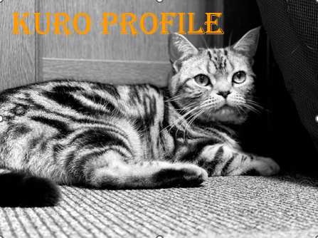 KUROの自己紹介
